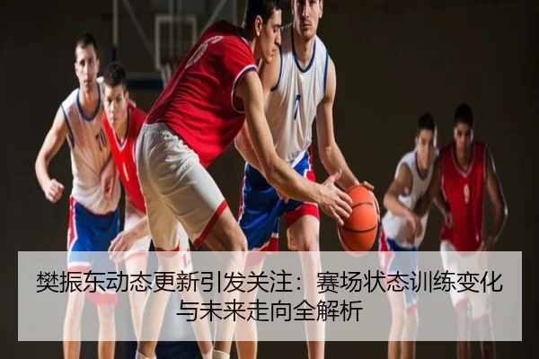 樊振东动态更新引发关注：赛场状态训练变化与未来走向全解析